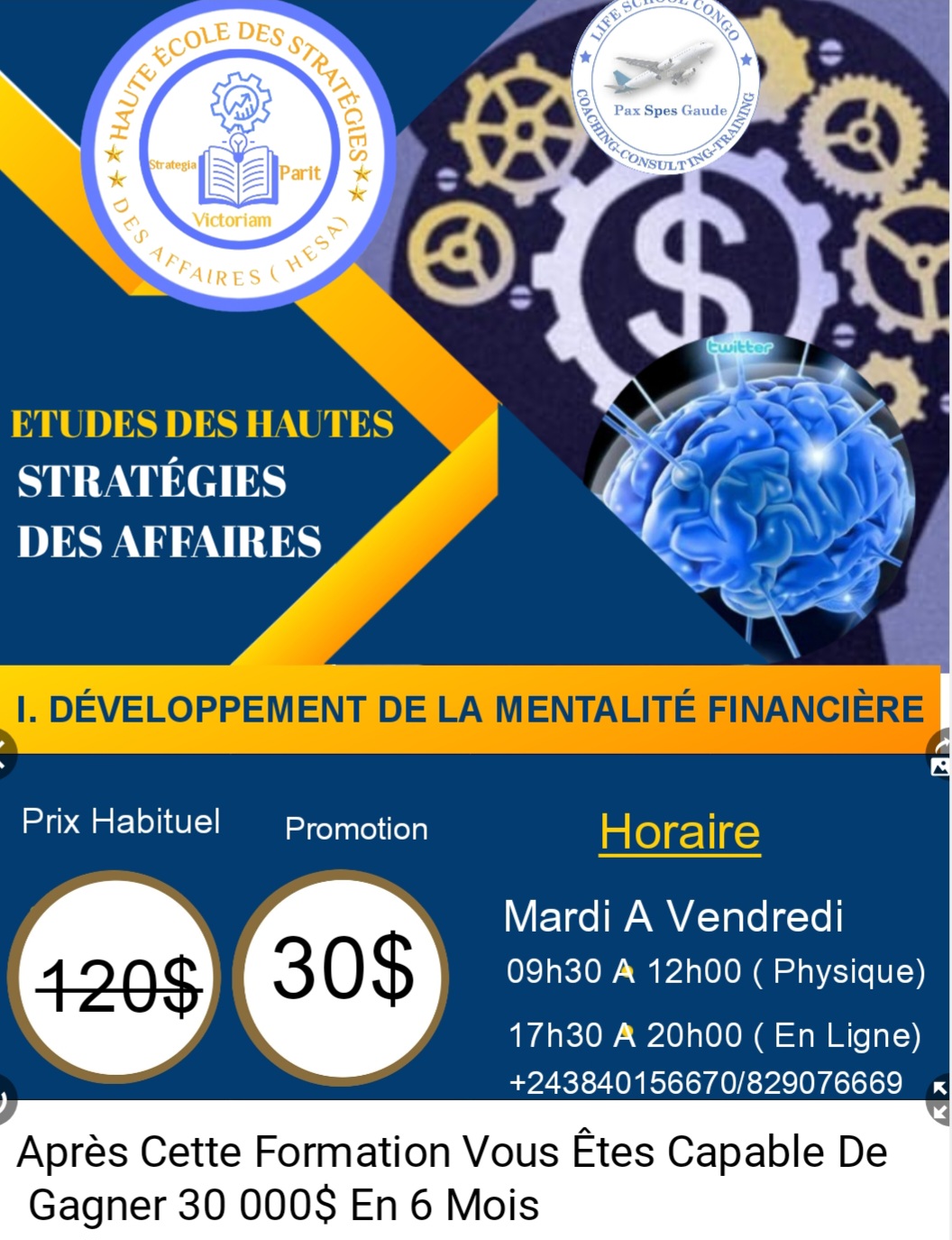 FORMATION EN STRATEGIES DES AFFAIRES